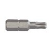 Bit STANDARD 1/4" COBIT profil Torx Ball