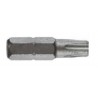 Bit STANDARD 1/4" COBIT profil Torx Plus security