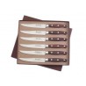 Cutie cu 6 cutite pentru friptura, lungime 13cm, Sabatier Elegance.