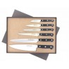 Set de prezentare 6 cutite, Sabatier Proxus.