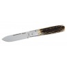 Briceag Fallkniven GPs (Stag)