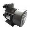 Motor electric monofazat 3kW 3000 rpm